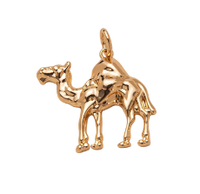 Camel