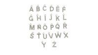 AMI Charm - Letters
