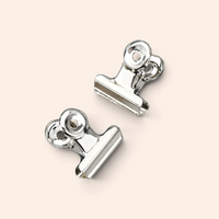 Silver Mini Clips | Set of 2